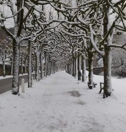 Le Relais Des Imprimeurs 別荘 ブイヨン